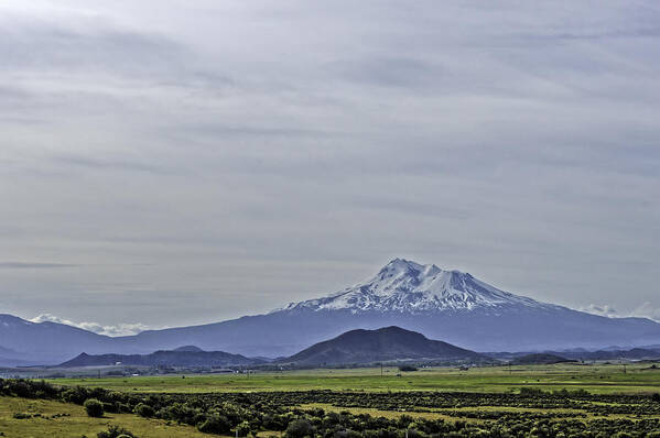 Mt Shasta Art Print featuring the photograph Mount Shasta Majesty by Mary Chris Hines