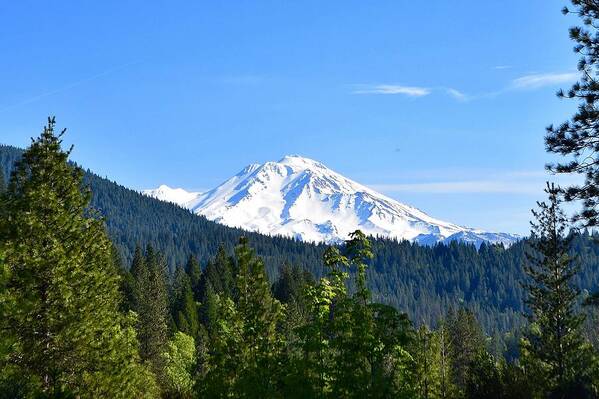 Mount Shasta Art Print featuring the photograph Mount Shasta by Maria Jansson