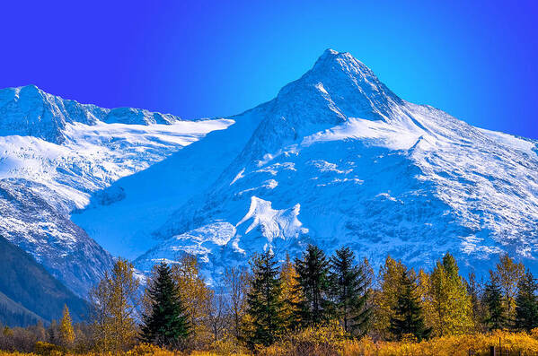  Art Print featuring the photograph Mountain Majesty by Brian Stevens