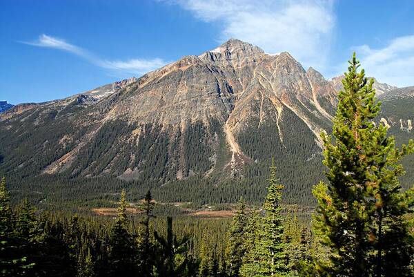 Jasper National Park Art Print featuring the photograph Mountain View 1 by Larry Ricker