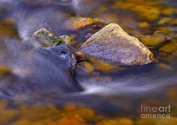 Stream Art Print featuring the photograph Moving Water by Martyn Arnold