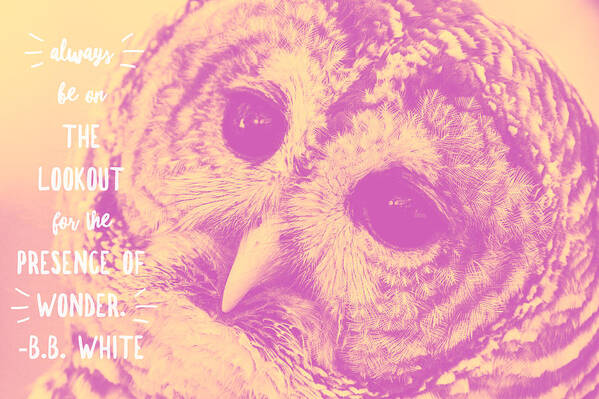 #owl. #photography Art Print featuring the photograph Mr. Owl by Rebekah Zivicki