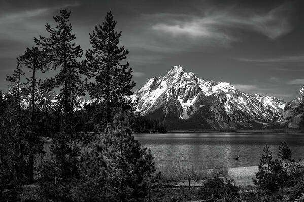 Mt. Moran Art Print featuring the photograph Mt. Moran and trees by Stephen Holst