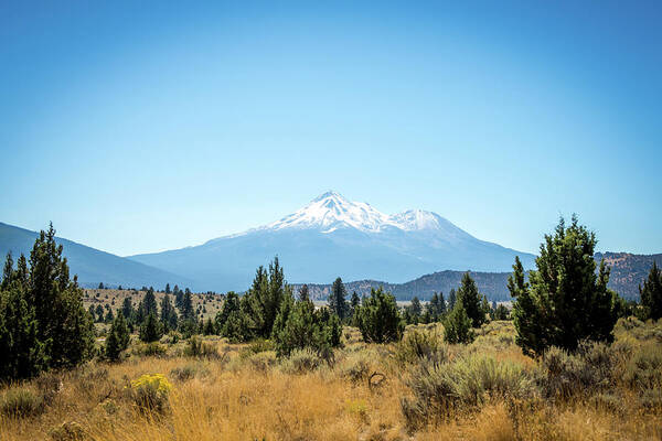 Mt. Shasta Art Print featuring the photograph Mt. Shasta by Aileen Savage