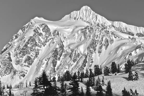 Mt Shuksan Art Print featuring the photograph Mt Shuksan by Tony Locke