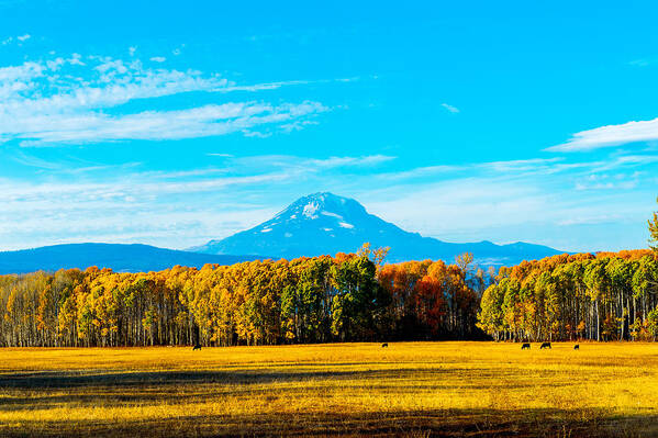 Landscape Art Print featuring the photograph Mt.Adams in fall by Hisao Mogi