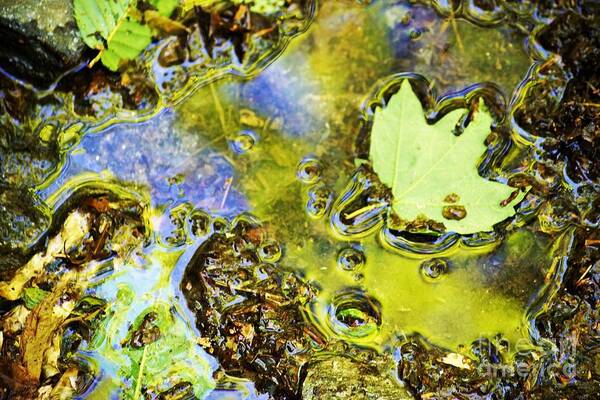 Landscape Art Print featuring the photograph Mud puddle by Merle Grenz