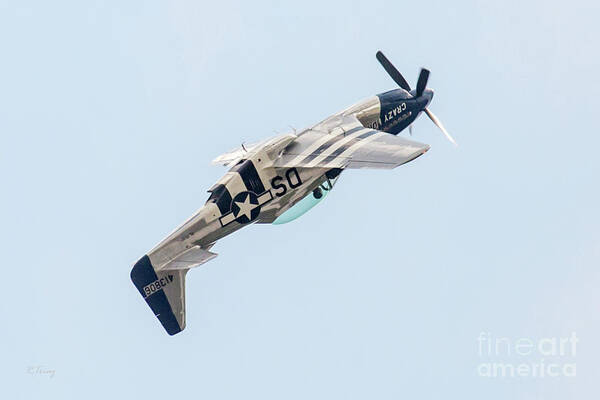 Stallion P-51 Art Print featuring the photograph Mustang Madness by Rene Triay FineArt Photos