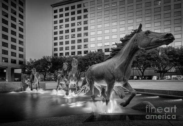 America Art Print featuring the photograph Mustangs at Las Colinas by Inge Johnsson