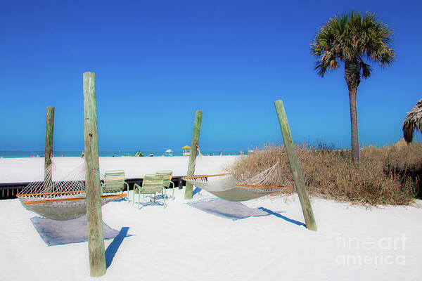 Tree Art Print featuring the photograph My day at the office by JCV Freelance Photography LLC