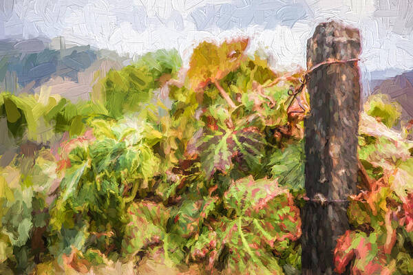 David Letts Art Print featuring the painting Napa Vineyard by David Letts