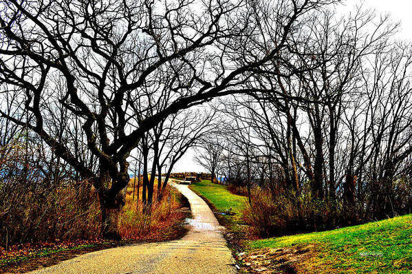Garvin Heights Art Print featuring the photograph Narrow Path by Susie Loechler