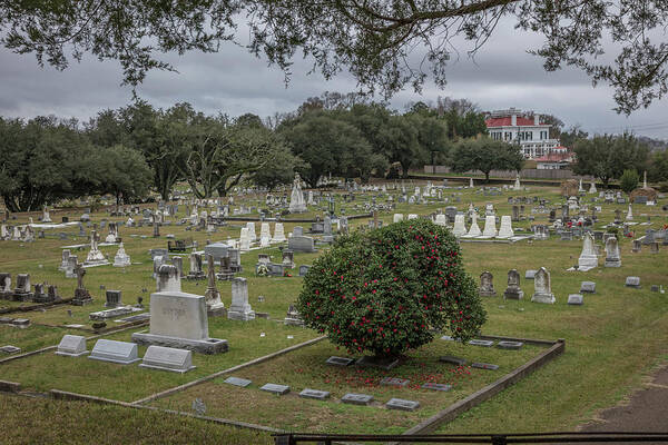 Natchez Mississippi Ms Art Print featuring the photograph Natchez Cemetary by Gregory Daley MPSA