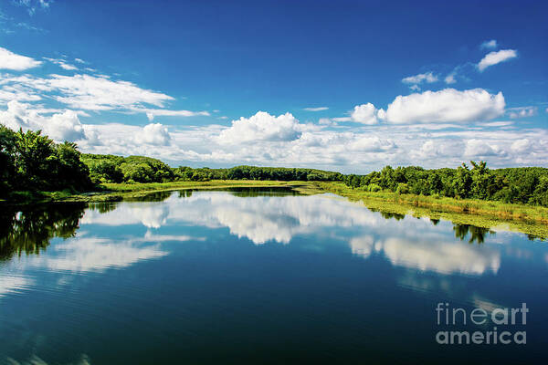 Austria Art Print featuring the photograph National Park Wetlands of the River Danube in Austria by Andreas Berthold