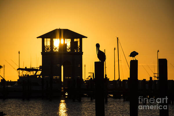 Gulfport Art Print featuring the photograph New Day by Brian Wright