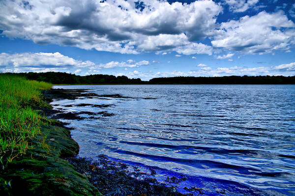 Landscape Art Print featuring the photograph NH Landscape Seacoast by Edward Myers