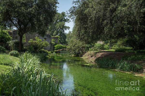 Ninfa Art Print featuring the photograph Ninfa Garden, Rome Italy 6 by Perry Rodriguez