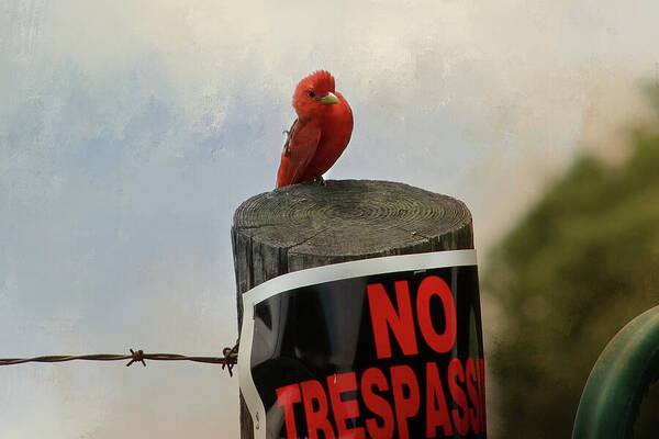 No Trespassing Art Print featuring the digital art No Trespassing by TnBackroadsPhotos