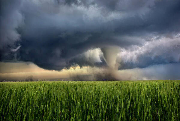 Tornado Art Print featuring the photograph NoTill by Thomas Zimmerman
