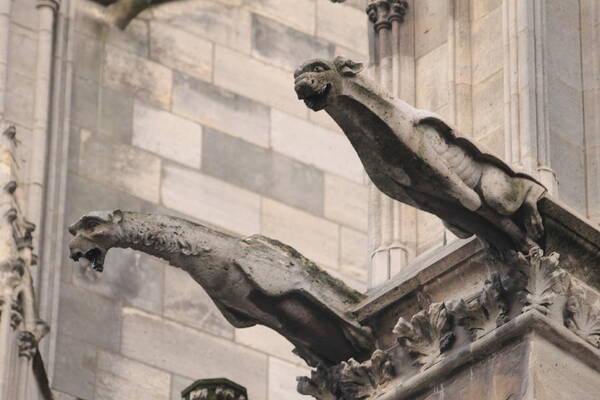 Notre Dame Cathedral Gargoyles Art Print featuring the photograph Notre Dame Cathedral gargoyles by Christopher J Kirby