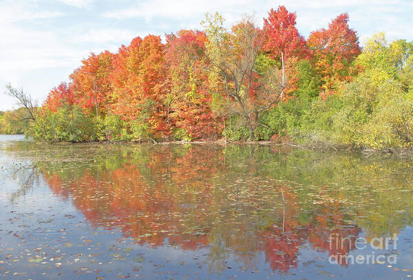 Autumn Art Print featuring the photograph October Ablaze by Ann Horn