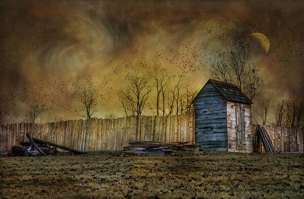 Outhouse Art Print featuring the photograph October Outhouse by Robin-Lee Vieira