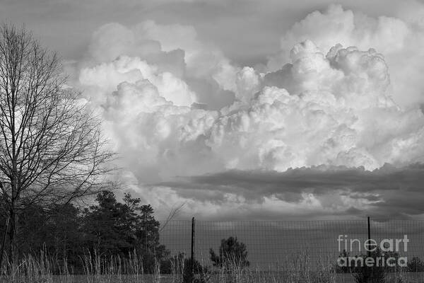 Landscape Art Print featuring the photograph Off the Parkway by Lara Morrison