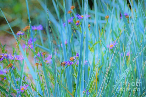 Grass Art Print featuring the photograph Oh Yes by Merle Grenz