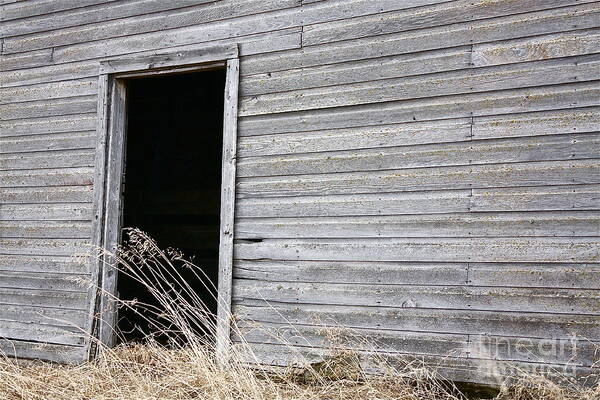 Old Barn Art Print featuring the photograph Old Barn 2 by Linda Bianic