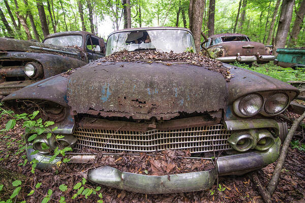 Abandoned Art Print featuring the photograph Old Car City in Color by Lindy Grasser