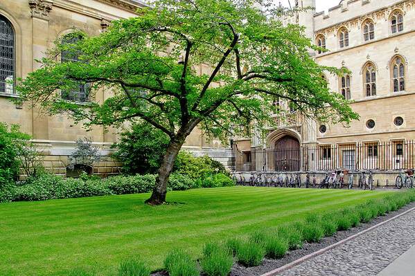 Old Court Art Print featuring the photograph Old court. Clare College. by Elena Perelman