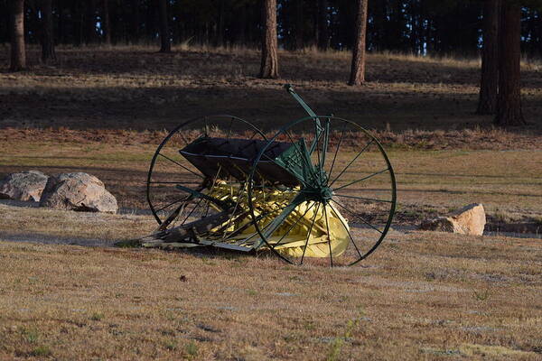 Green Art Print featuring the photograph Old Farm Implement Lake George CO #1 by Margarethe Binkley