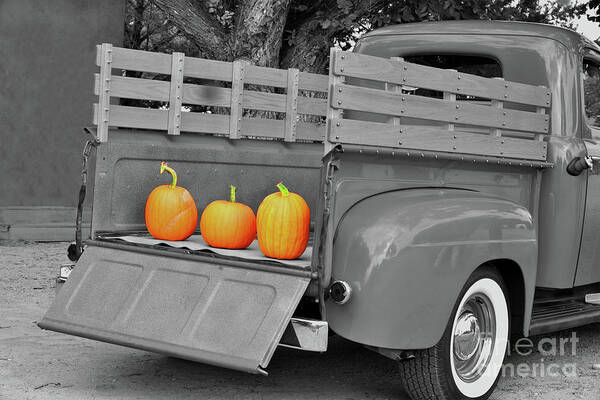 Ford Art Print featuring the photograph Old Ford Truck With Pumpkins by Barbara Milton