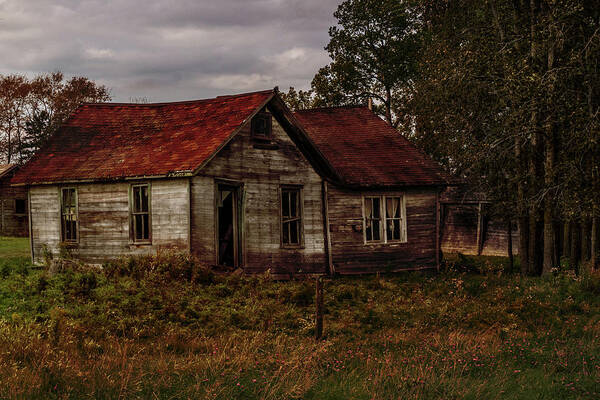 Old Art Print featuring the photograph Old Forgotten Farmstead by Patti Deters