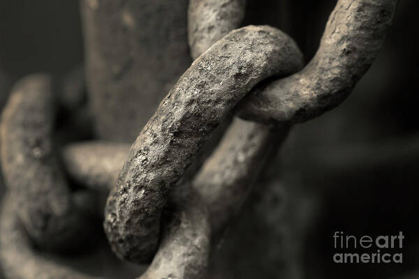 Chain Art Print featuring the photograph Old Iron by Mike Eingle
