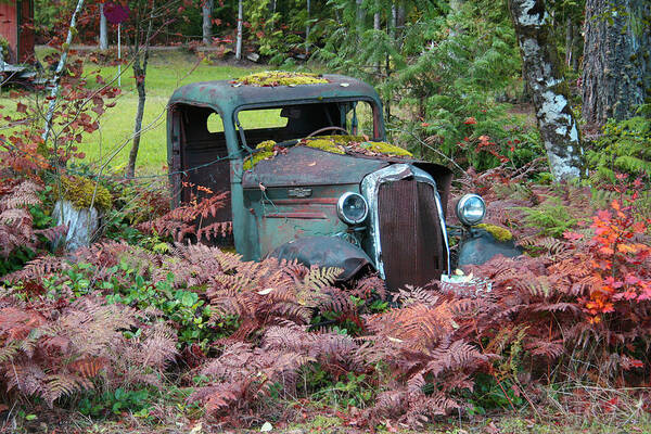 Cars Art Print featuring the photograph Old Rusty Truck I C1000 by Mary Gaines