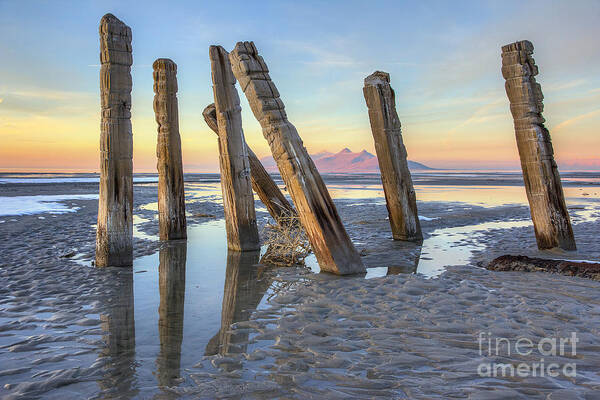 Saltair Art Print featuring the photograph Old Saltair Posts by Spencer Baugh