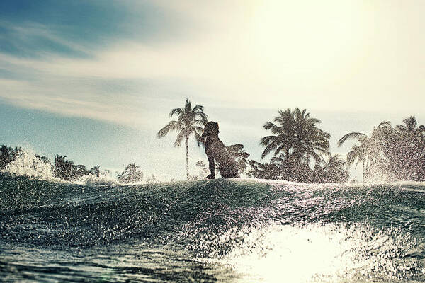 Surfing Art Print featuring the photograph Old School by Nik West
