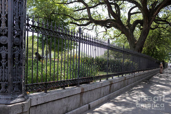 Landscape Art Print featuring the photograph Old Tree and Ornate Fence by Todd Blanchard
