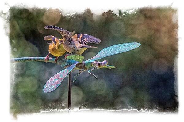 Feeder Art Print featuring the photograph On The Back Of A Dragonfly by Constantine Gregory