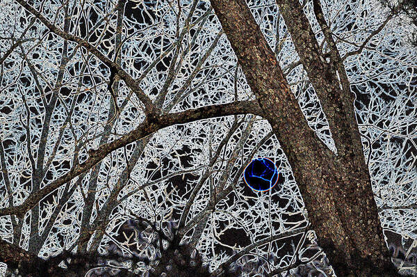 Trees Art Print featuring the photograph Once In A Blue Moon by Jan Amiss Photography