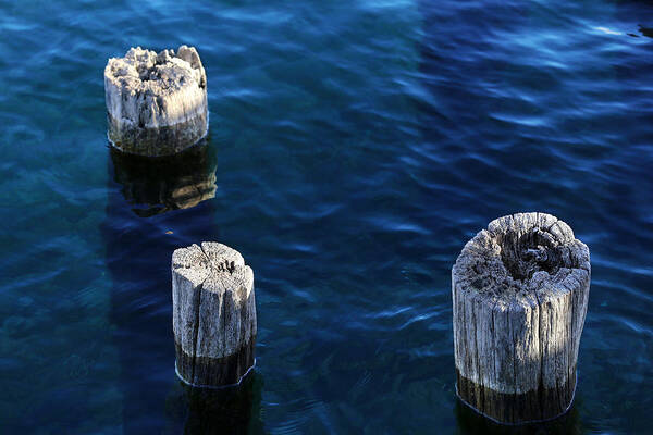 Pilings Art Print featuring the photograph One Two Three 4 by Mary Bedy