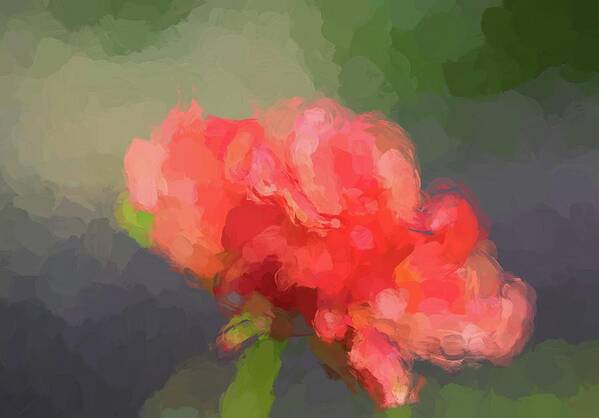 Rose Art Print featuring the photograph Orange Abstract by Cathy Donohoue