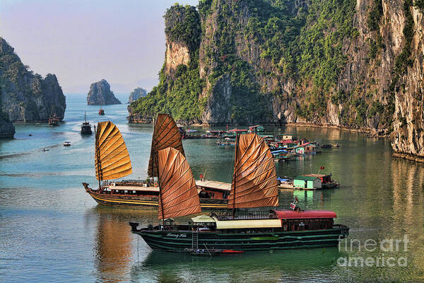 Vietnam Art Print featuring the photograph Orange Sails Asian Cruise Vietnam by Chuck Kuhn