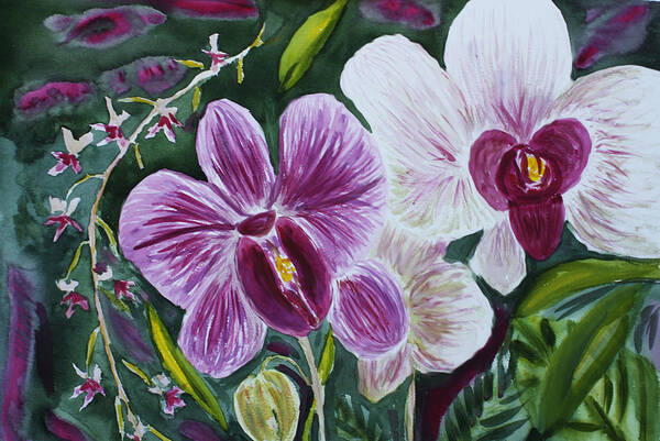 Orchid Art Print featuring the painting Orchid at AOS 2010 by Donna Walsh