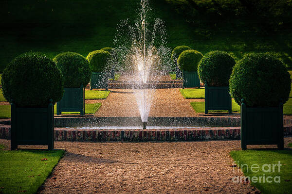 Gardenscape Art Print featuring the photograph Ornamental Garden with Fountain by Heiko Koehrer-Wagner