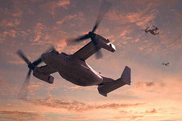 Osprey Art Print featuring the relief Ospreys in Flight by Mike McGlothlen