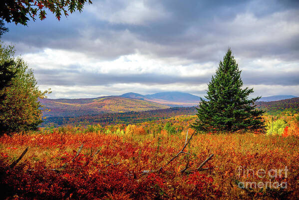 Overlook Art Print featuring the photograph Overlooking the Foothills by Alana Ranney