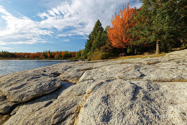 Autumn Art Print featuring the photograph Birch Point Beach, Owls Head, Maine by Kevin Shields