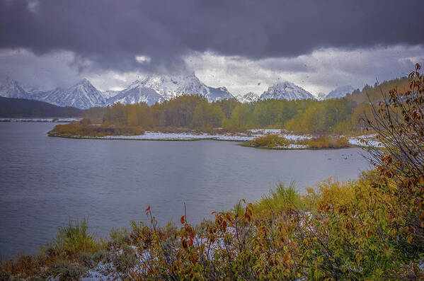 Adventure Art Print featuring the photograph Oxbow Bend Fall Snowfall by Scott McGuire
